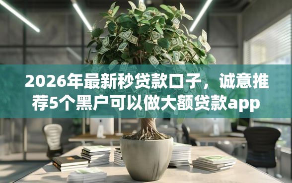 2026年最新秒贷款口子，诚意推荐5个黑户可以做大额贷款app