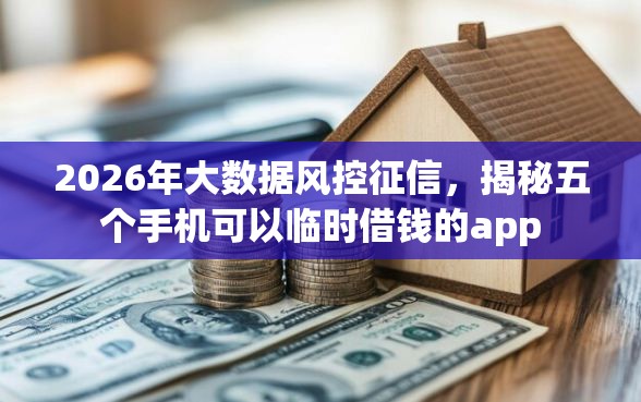 2026年大数据风控征信，揭秘五个手机可以临时借钱的app