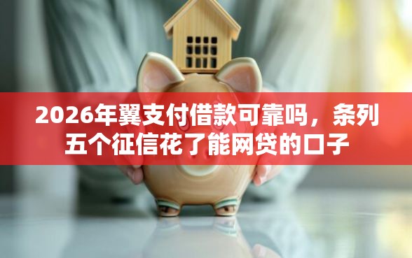 2026年翼支付借款可靠吗，条列五个征信花了能网贷的口子