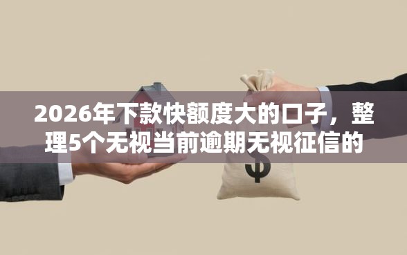 2026年下款快额度大的口子，整理5个无视当前逾期无视征信的借款口子