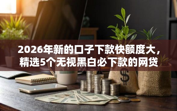 2026年新的口子下款快额度大，精选5个无视黑白必下款的网贷口子