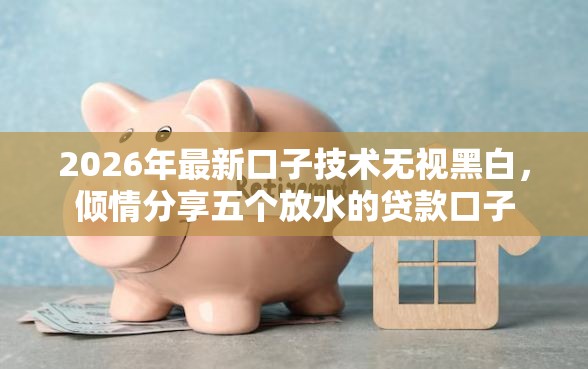 2026年最新口子技术无视黑白，倾情分享五个放水的贷款口子