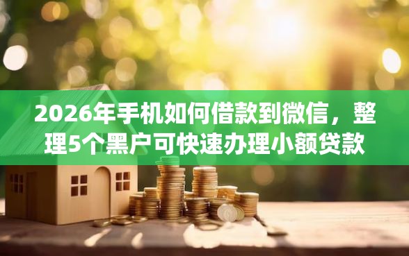 2026年手机如何借款到微信，整理5个黑户可快速办理小额贷款业务的app