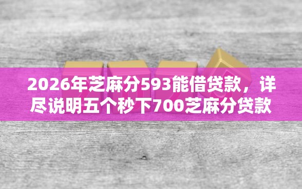 2026年芝麻分593能借贷款，详尽说明五个秒下700芝麻分贷款平台