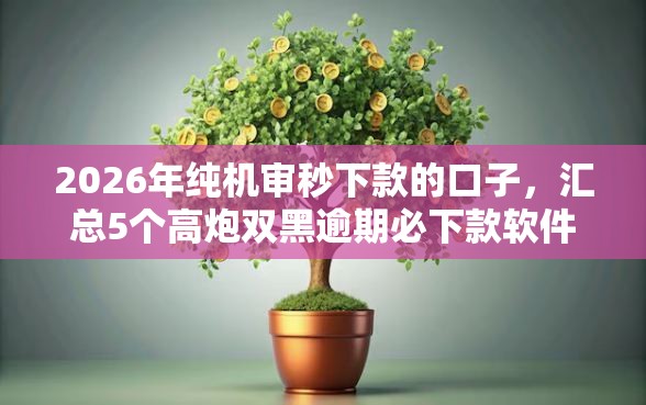 2026年纯机审秒下款的口子，汇总5个高炮双黑逾期必下款软件