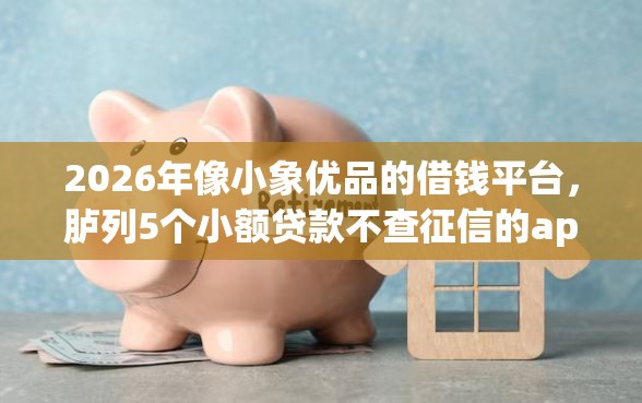 2026年像小象优品的借钱平台，胪列5个小额贷款不查征信的app