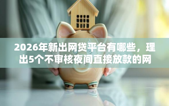 2026年新出网贷平台有哪些，理出5个不审核夜间直接放款的网贷口子