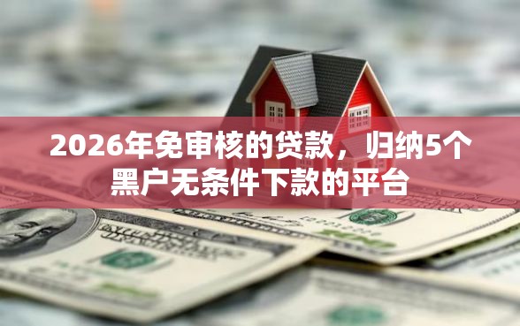 2026年免审核的贷款,归纳5个黑户无条件下款的平台 2026年免审核的贷款,归纳5个黑户无条件下款的平台