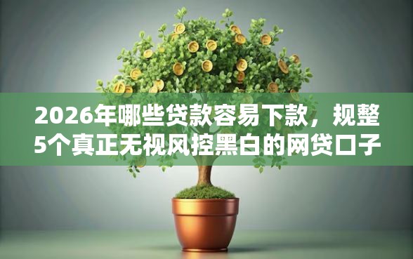 2026年哪些贷款容易下款，规整5个真正无视风控黑白的网贷口子