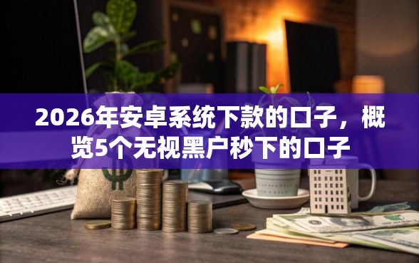 2026年安卓系统下款的口子，概览5个无视黑户秒下的口子