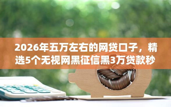 2026年五万左右的网贷口子，精选5个无视网黑征信黑3万贷款秒款app名单
