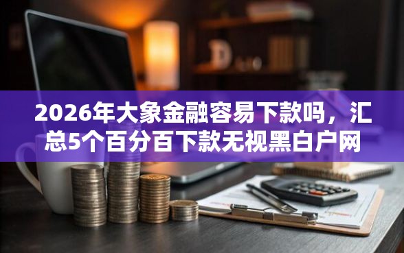 2026年大象金融容易下款吗，汇总5个百分百下款无视黑白户网贷