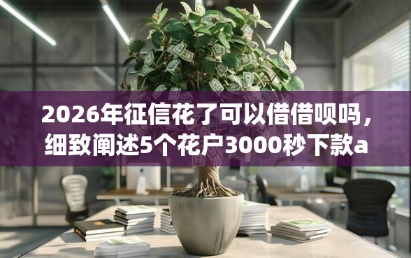 2026年征信花了可以借借呗吗，细致阐述5个花户3000秒下款app