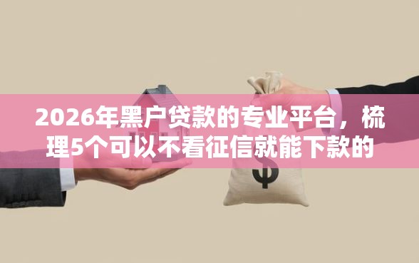 2026年黑户贷款的专业平台，梳理5个可以不看征信就能下款的平台