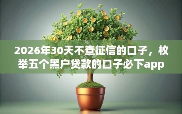 2026年30天不查征信的口子，枚举五个黑户贷款的口子必下app