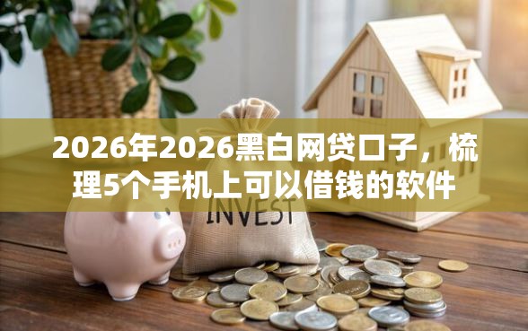 2026年2026黑白网贷口子，梳理5个手机上可以借钱的软件