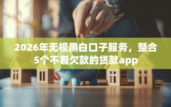 2026年无视黑白口子服务，整合5个不看欠款的贷款app
