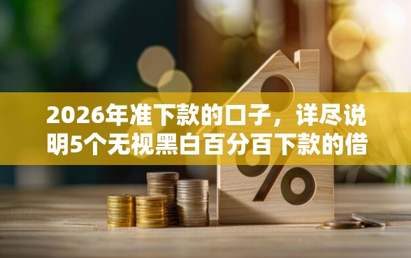 2026年准下款的口子，详尽说明5个无视黑白百分百下款的借款软件