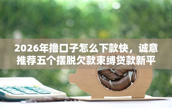 2026年撸口子怎么下款快，诚意推荐五个摆脱欠款束缚贷款新平台