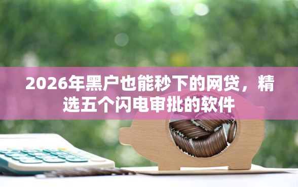 2026年黑户也能秒下的网贷，精选五个闪电审批的软件
