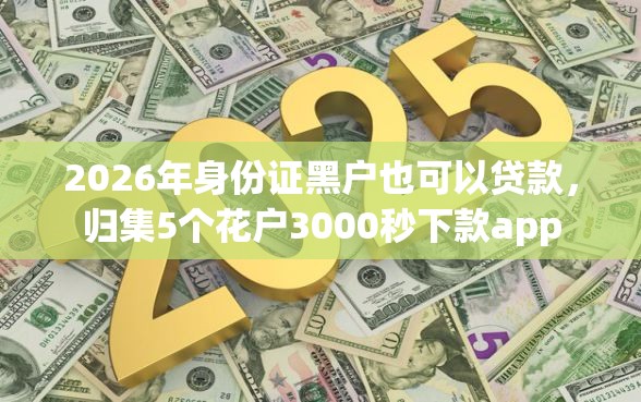 2026年身份证黑户也可以贷款，归集5个花户3000秒下款app