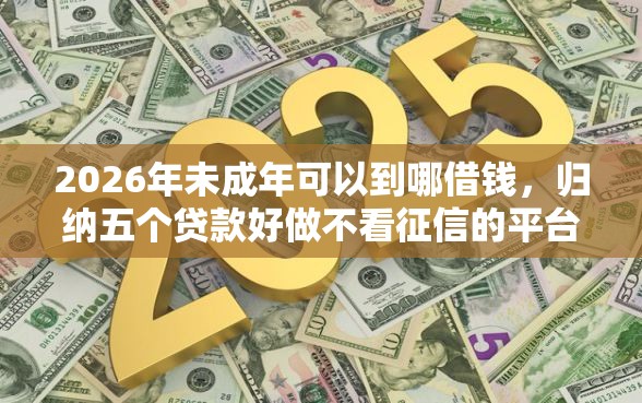 2026年未成年可以到哪借钱，归纳五个贷款好做不看征信的平台