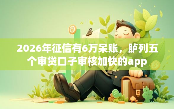 2026年征信有6万呆账，胪列五个审贷口子审核加快的app