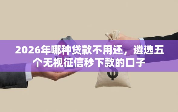 2026年哪种贷款不用还，遴选五个无视征信秒下款的口子