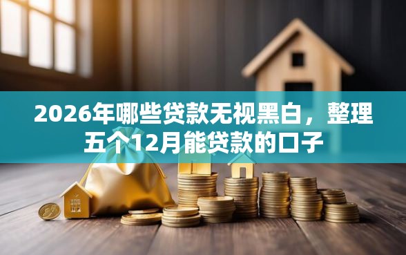 2026年哪些贷款无视黑白，整理五个12月能贷款的口子