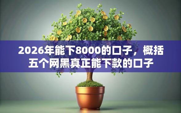 2026年能下8000的口子，概括五个网黑真正能下款的口子