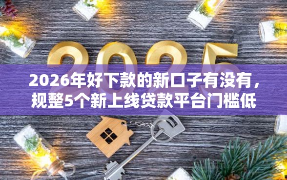 2026年好下款的新口子有没有，规整5个新上线贷款平台门槛低平台