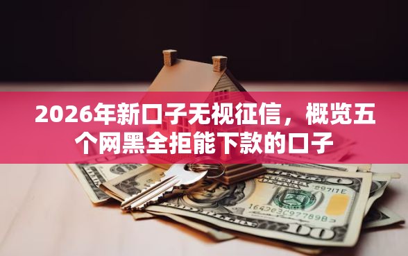 2026年新口子无视征信，概览五个网黑全拒能下款的口子
