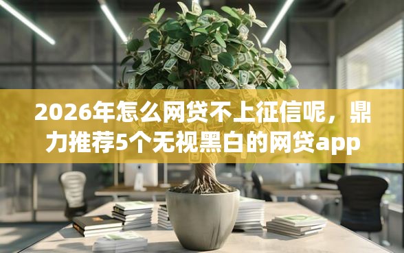 2026年怎么网贷不上征信呢，鼎力推荐5个无视黑白的网贷app