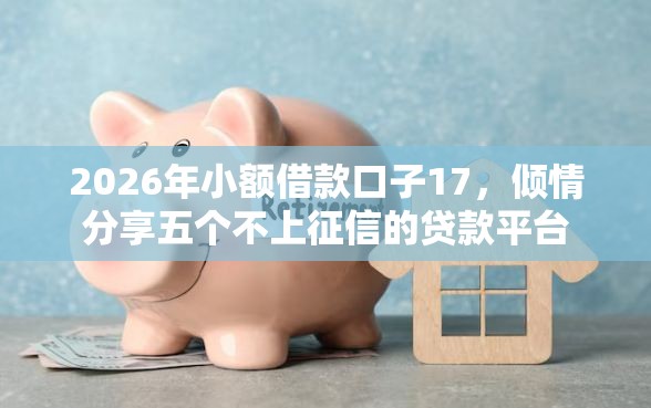 2026年小额借款口子17，倾情分享五个不上征信的贷款平台