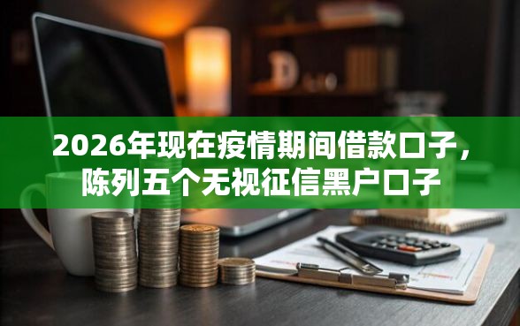 2026年现在疫情期间借款口子，陈列五个无视征信黑户口子