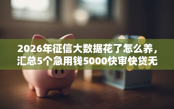 2026年征信大数据花了怎么养，汇总5个急用钱5000快审快贷无需征信软件