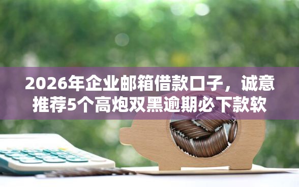 2026年企业邮箱借款口子，诚意推荐5个高炮双黑逾期必下款软件
