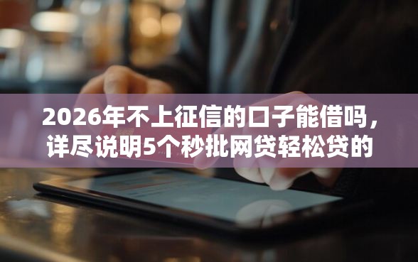 2026年不上征信的口子能借吗，详尽说明5个秒批网贷轻松贷的口子