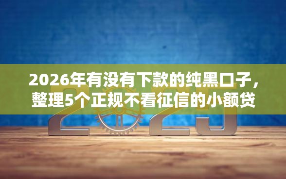 2026年有没有下款的纯黑口子，整理5个正规不看征信的小额贷款平台