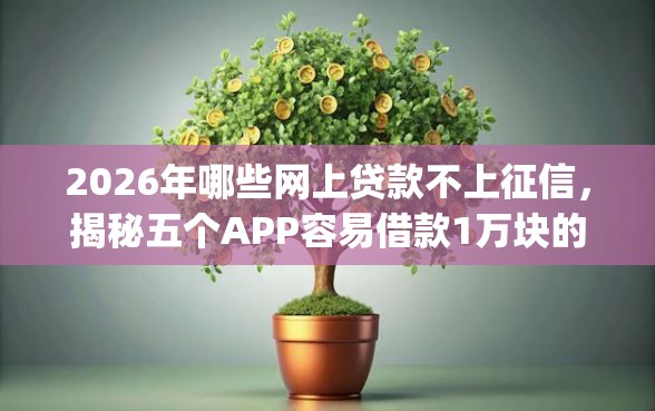 2026年哪些网上贷款不上征信，揭秘五个APP容易借款1万块的app