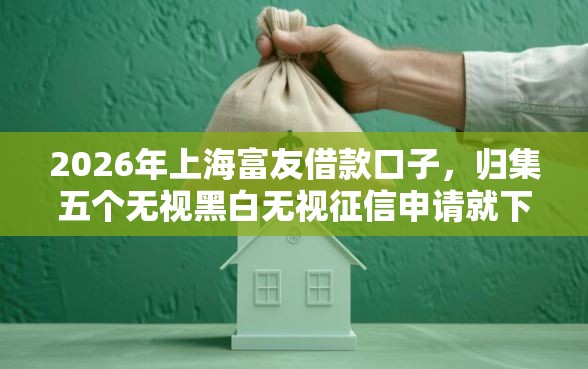 2026年上海富友借款口子,归集五个无视黑白无视征信申请就下款的软件 2026年上海富友借款口子,归集五个无视黑白无视征信申请就下款的软件