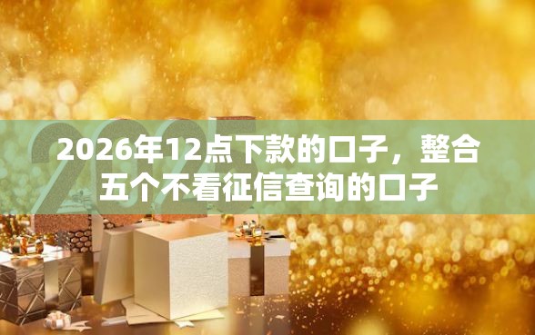 2026年12点下款的口子，整合五个不看征信查询的口子
