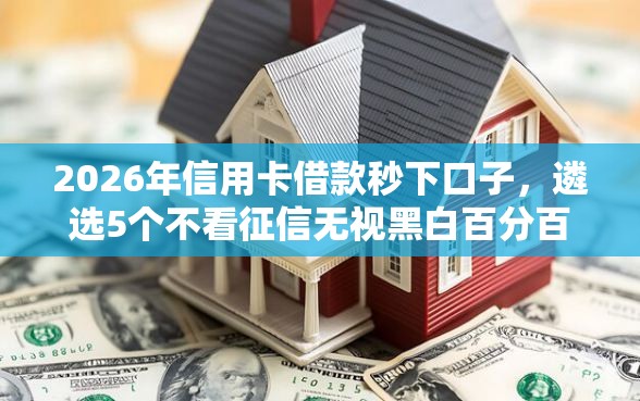 2026年信用卡借款秒下口子，遴选5个不看征信无视黑白百分百下款平台
