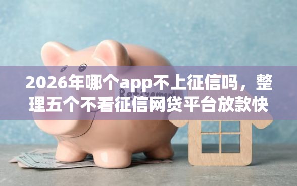 2026年哪个app不上征信吗，整理五个不看征信网贷平台放款快的平台