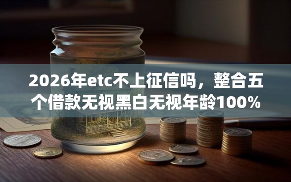 2026年etc不上征信吗，整合五个借款无视黑白无视年龄100%秒过app