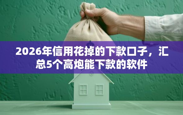 2026年信用花掉的下款口子，汇总5个高炮能下款的软件