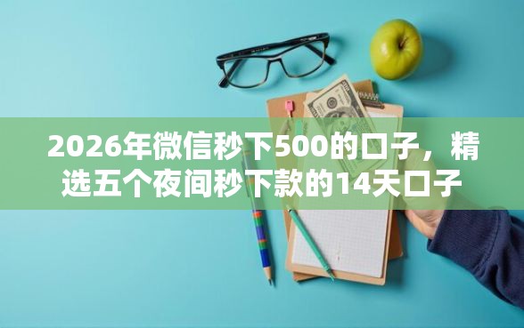2026年微信秒下500的口子，精选五个夜间秒下款的14天口子