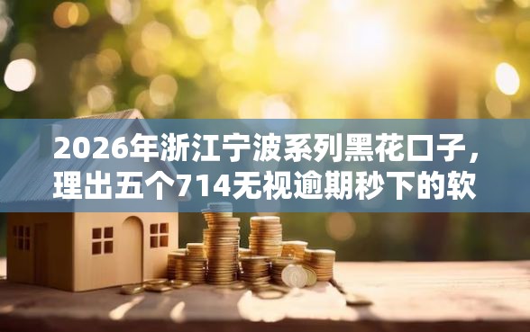 2026年浙江宁波系列黑花口子，理出五个714无视逾期秒下的软件