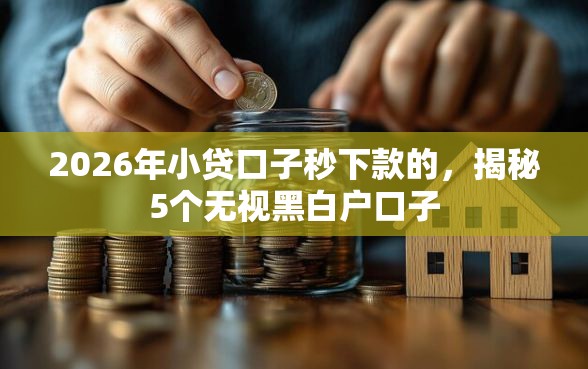 2026年小贷口子秒下款的，揭秘5个无视黑白户口子