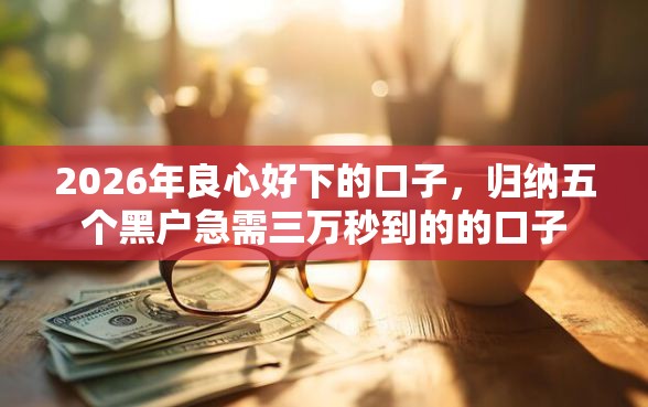 2026年良心好下的口子，归纳五个黑户急需三万秒到的的口子